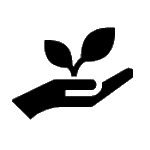 Energielotse 5 N!Kom – Begleitung auf Ihrem Weg zur Klimaneutralität!